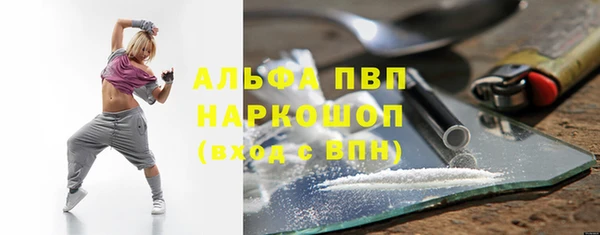 ешки Аркадак