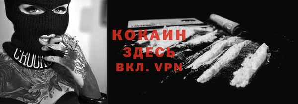 крисы Арсеньев