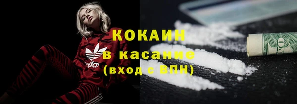 ешки Аркадак