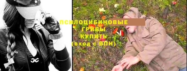 крисы Арсеньев